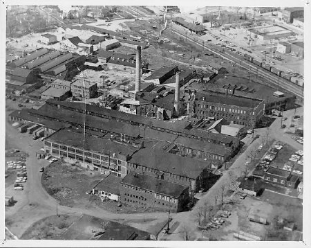 Aerial view of round oak plant